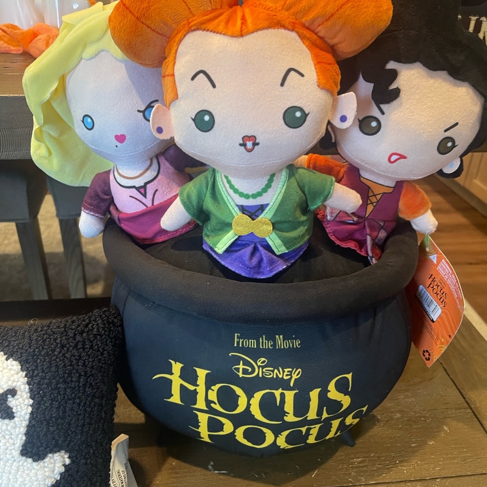 HALLOWEEN Disney Hocus Pocus Kids Costume Set - Multicolor